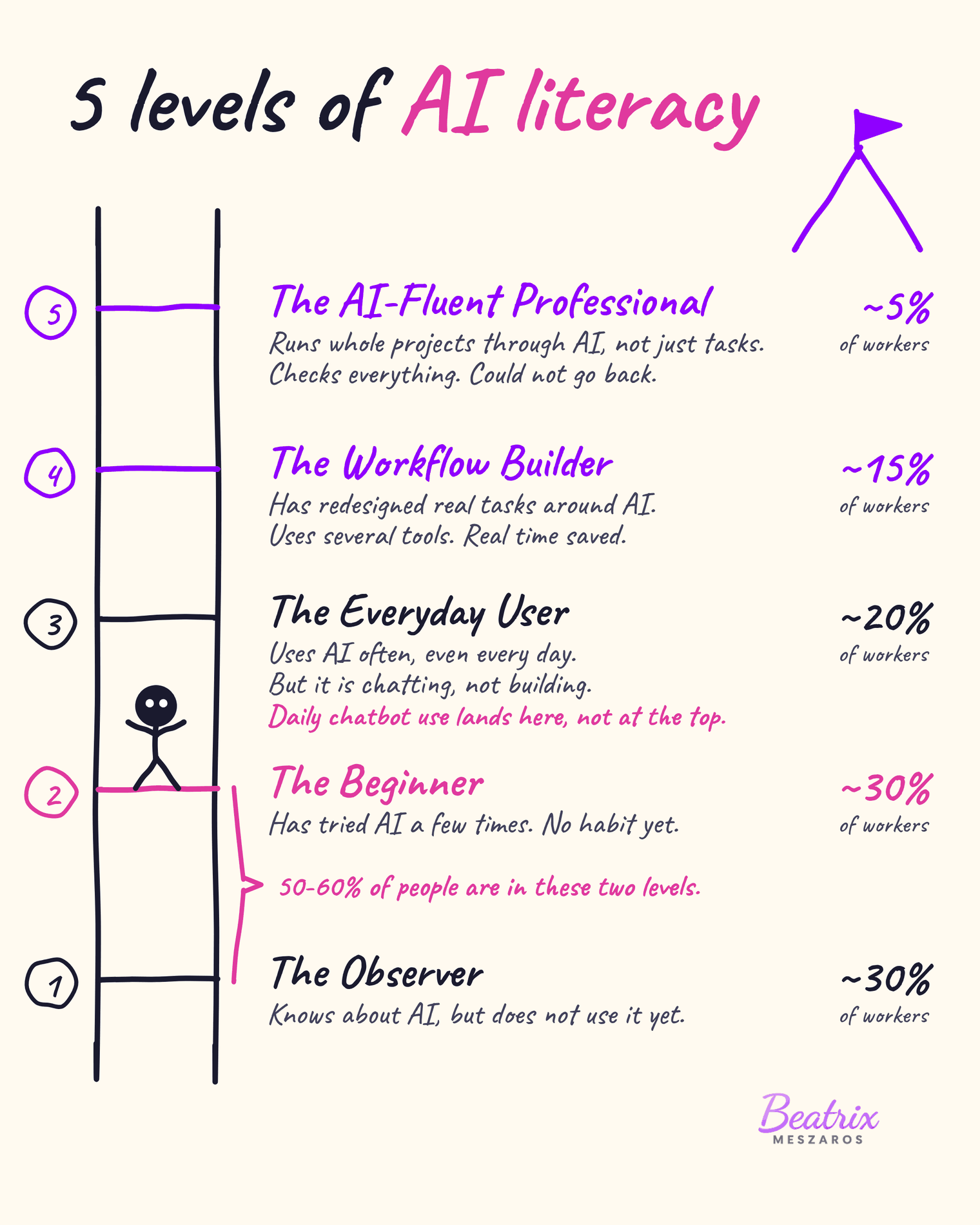 A handwritten ladder showing the five levels of AI literacy: the Observer at around 30 per cent, the Beginner at around 30 per cent, the Everyday User at around 20 per cent, the Workflow Builder at around 15 per cent and the AI-Fluent Professional at around 5 per cent, with a stick figure standing between levels two and three.
